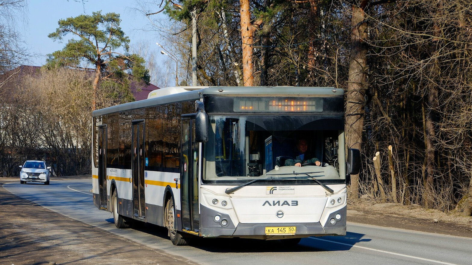 Московская область, ЛиАЗ-5292.22 (2-2-2) № 101145