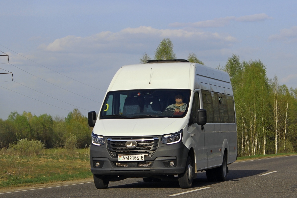 Могилёвская область, МАЗ-281.120 № АМ 2165-6