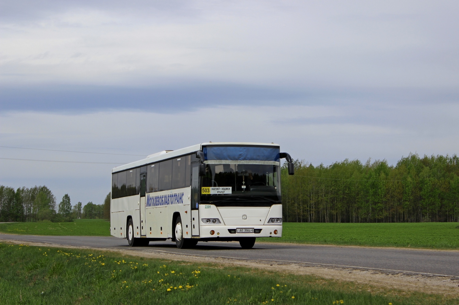 Mahiljouskaja Woblasz, GolAZ-525110-10 "Voyage" Nr. 2201