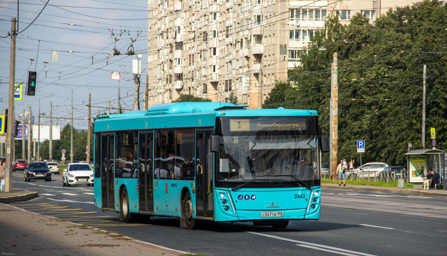 Санкт-Петербург, МАЗ-203.047 № 2443