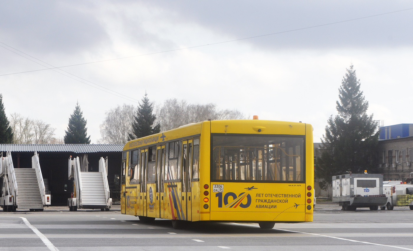 Новосибирская область, МАЗ-171.076 № 336