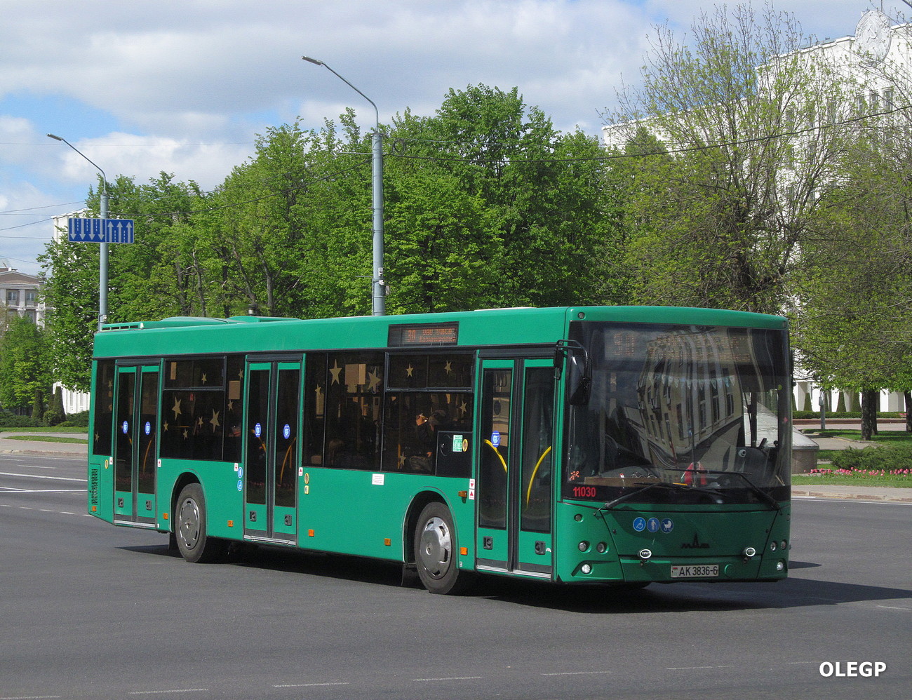 Могилёвская область, МАЗ-203.016 № 1103