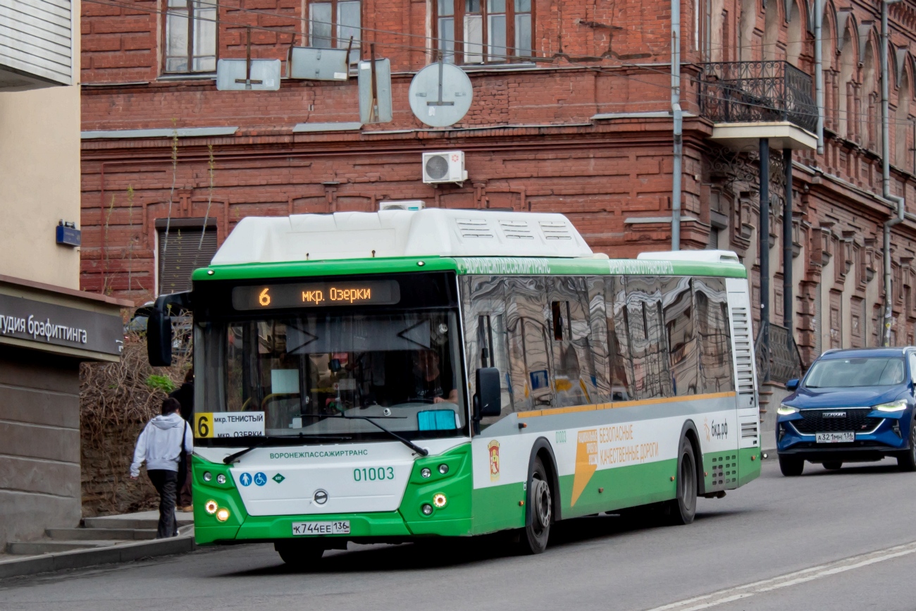 Воронежская область, ЛиАЗ-5292.67 (CNG) № 01003