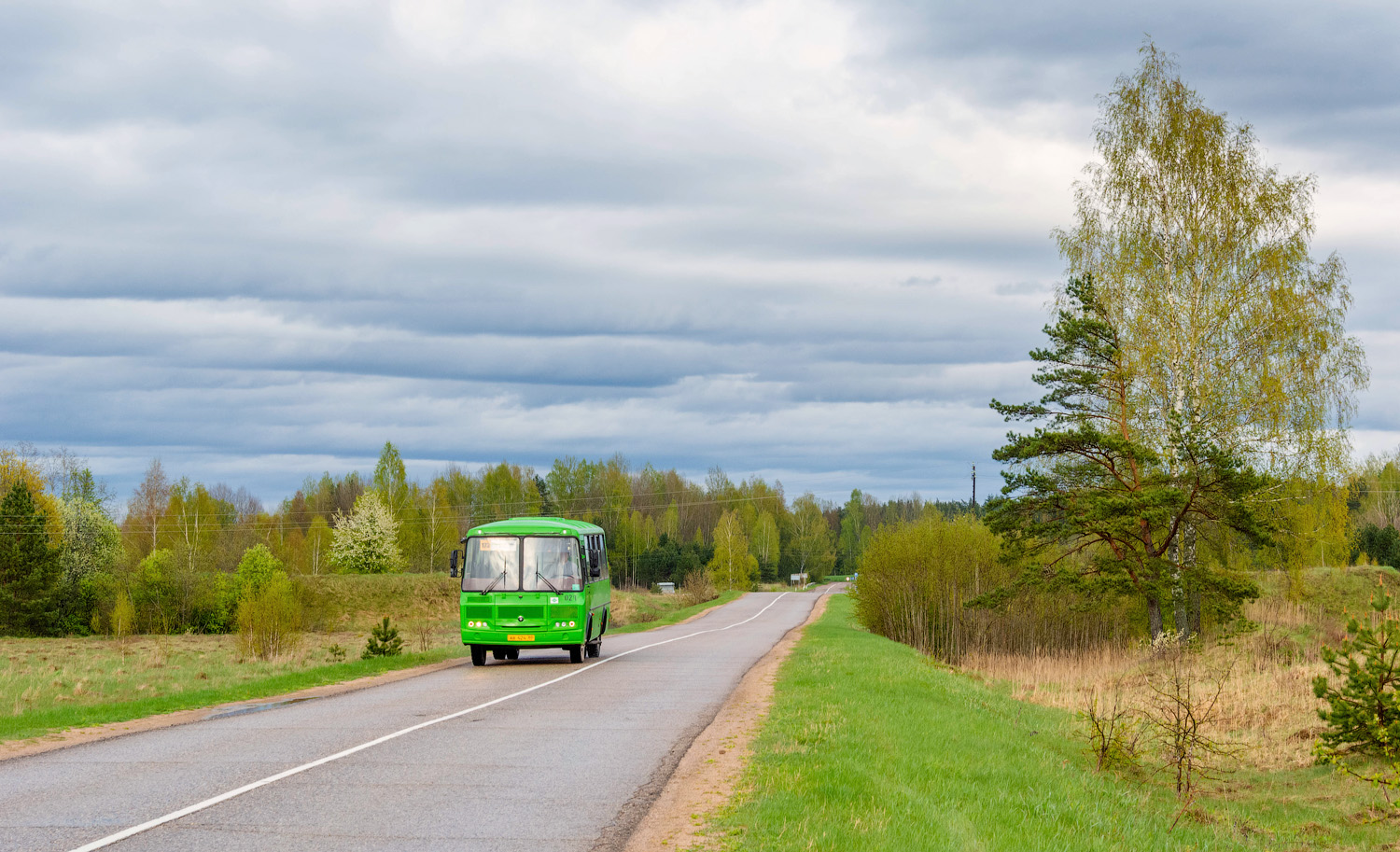 Псковская область, ПАЗ-320540-22 № 024