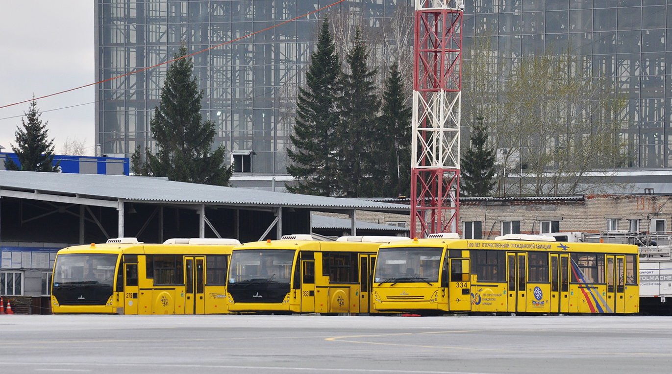 Новосибирская область, МАЗ-171.076 № 334