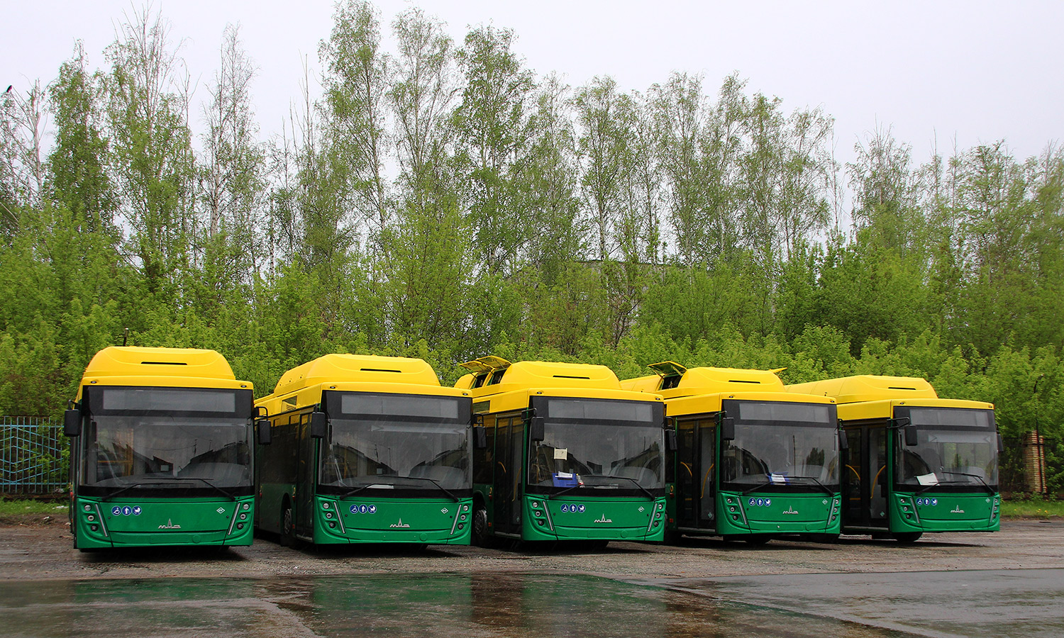 Penza region — avtobusy bez nomerov