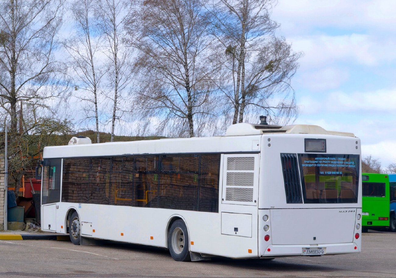 Гродненская область, МАЗ-203.116 № 021407