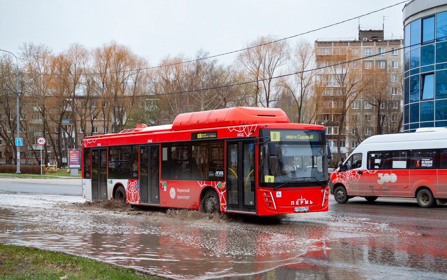 Пермский край, МАЗ-203.948 № Р 706 ОУ 159
