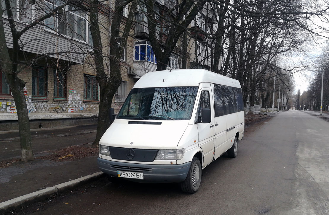Днепропетровская область, Mercedes-Benz Sprinter W903 310D № AE 9824 ET