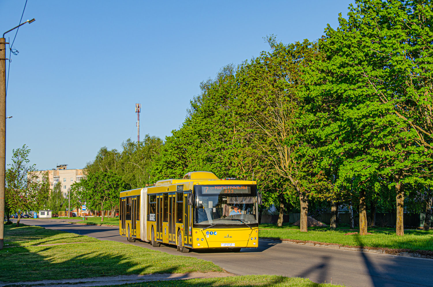Брестская область, МАЗ-215.069 № 12250