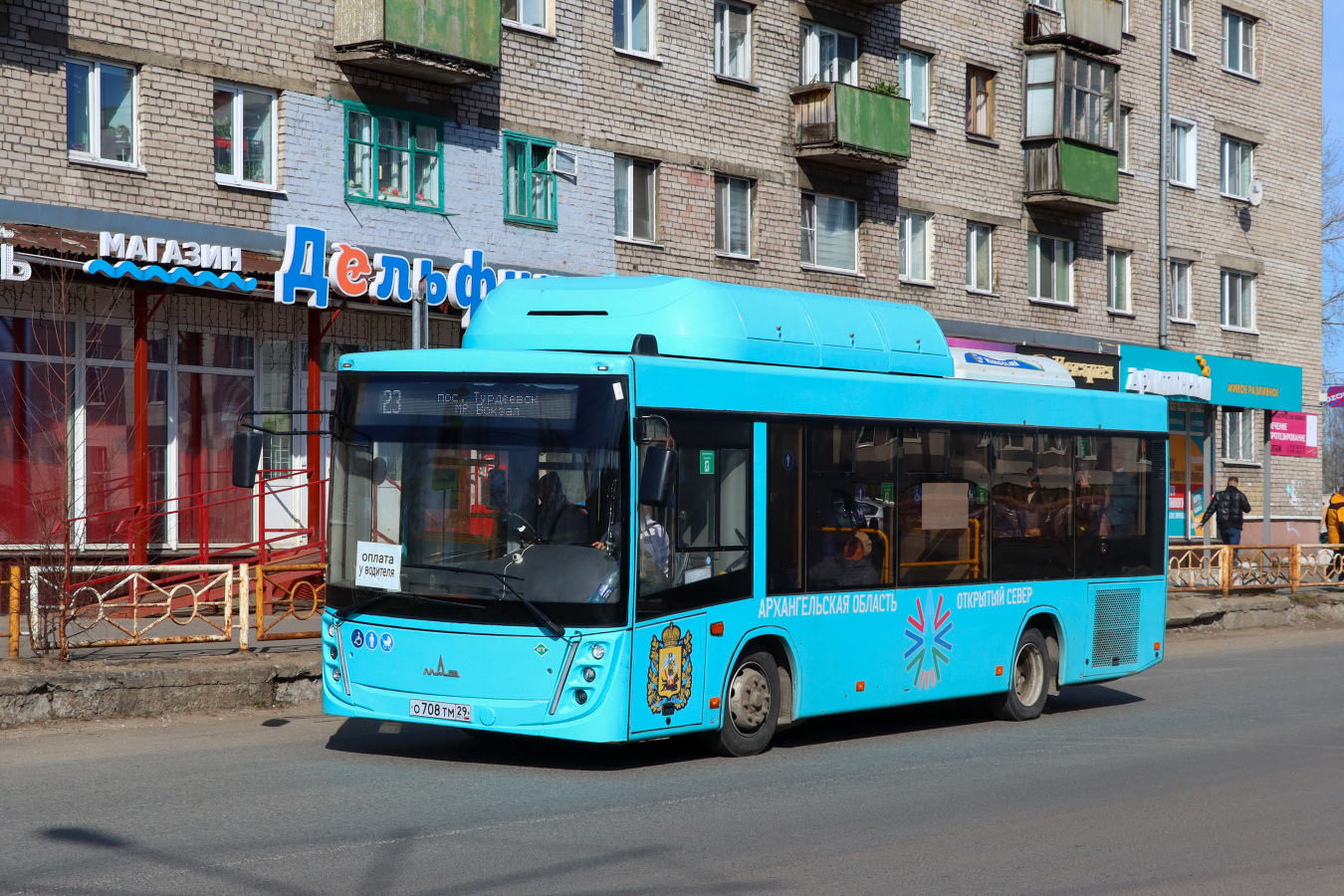 Архангельская область, МАЗ-206.948 № О 708 ТМ 29