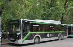 3696 КБ