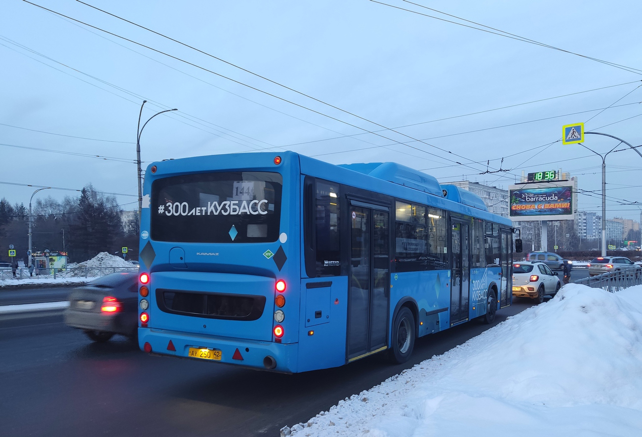 Кемеровская область - Кузбасс, НефАЗ-5299-30-56 № 250
