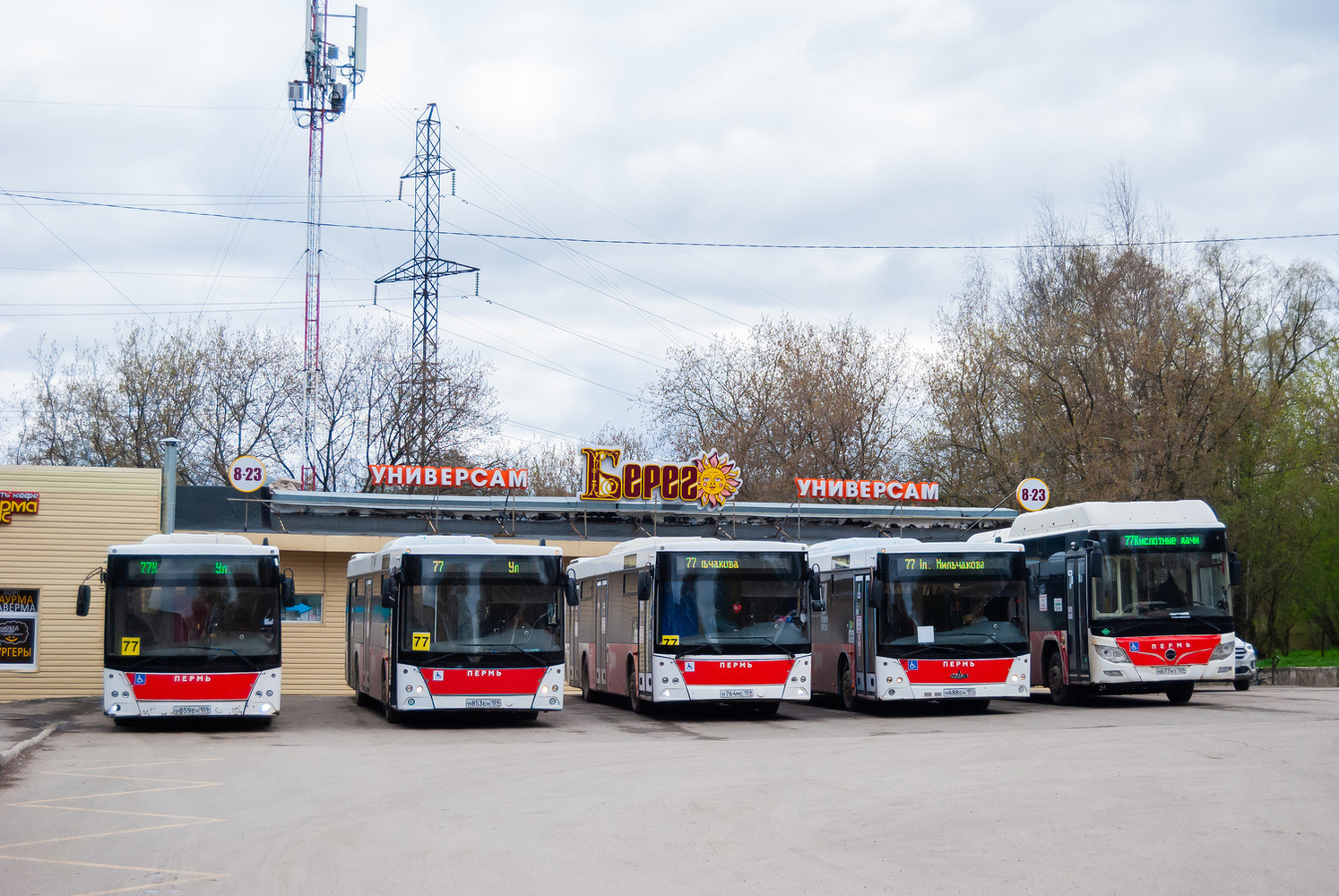 Пермский край, МАЗ-203.016 № Н 853 ЕН 159
