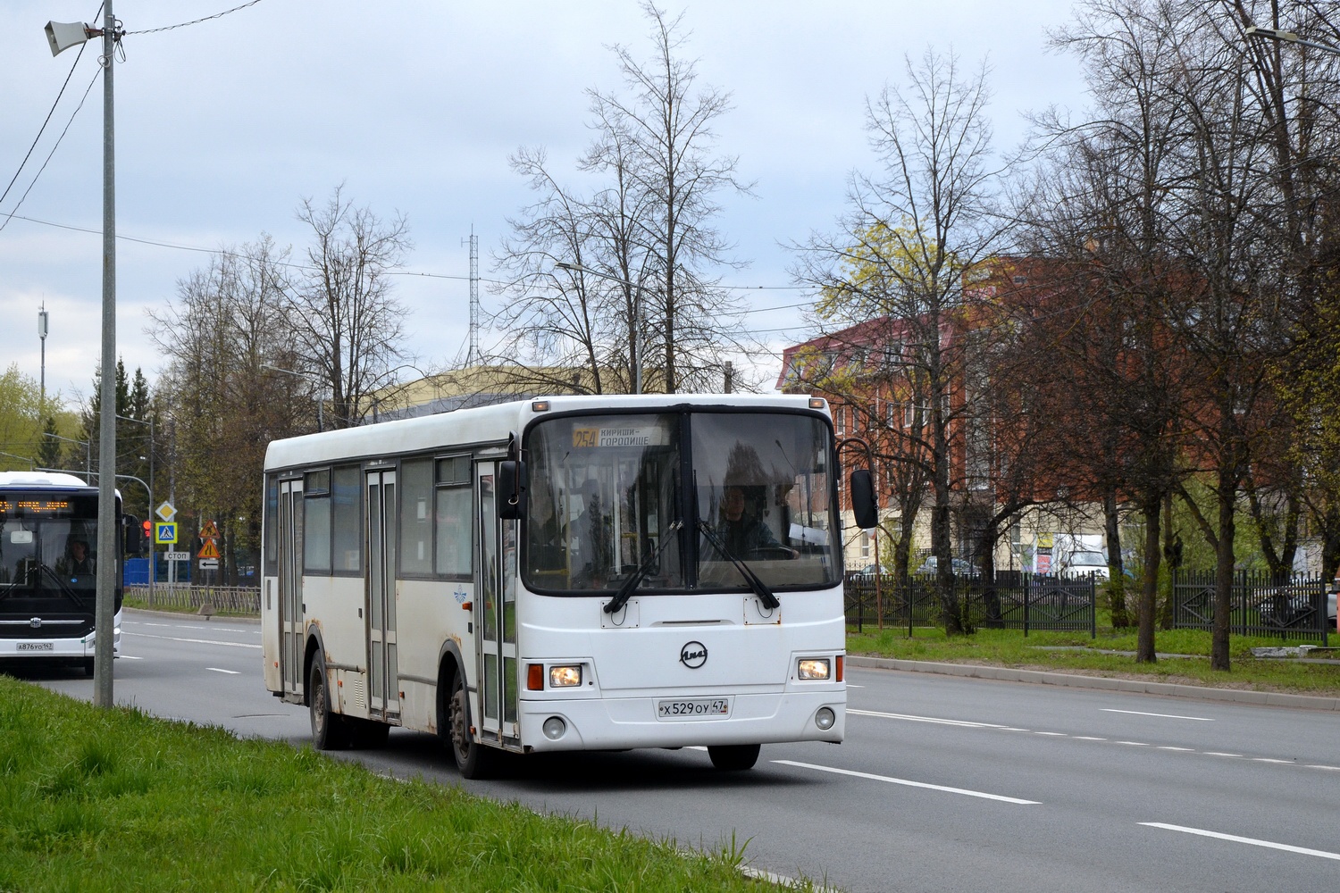 Ленинградская область, ЛиАЗ-5256.36 № 07186