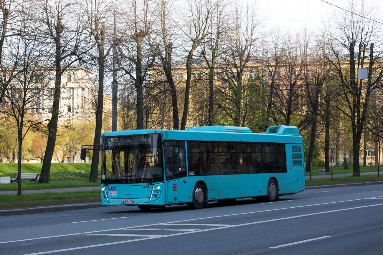 Санкт-Петербург, МАЗ-203.047 № 5482 Санкт-Петербург, МАЗ-203.047 № 5482