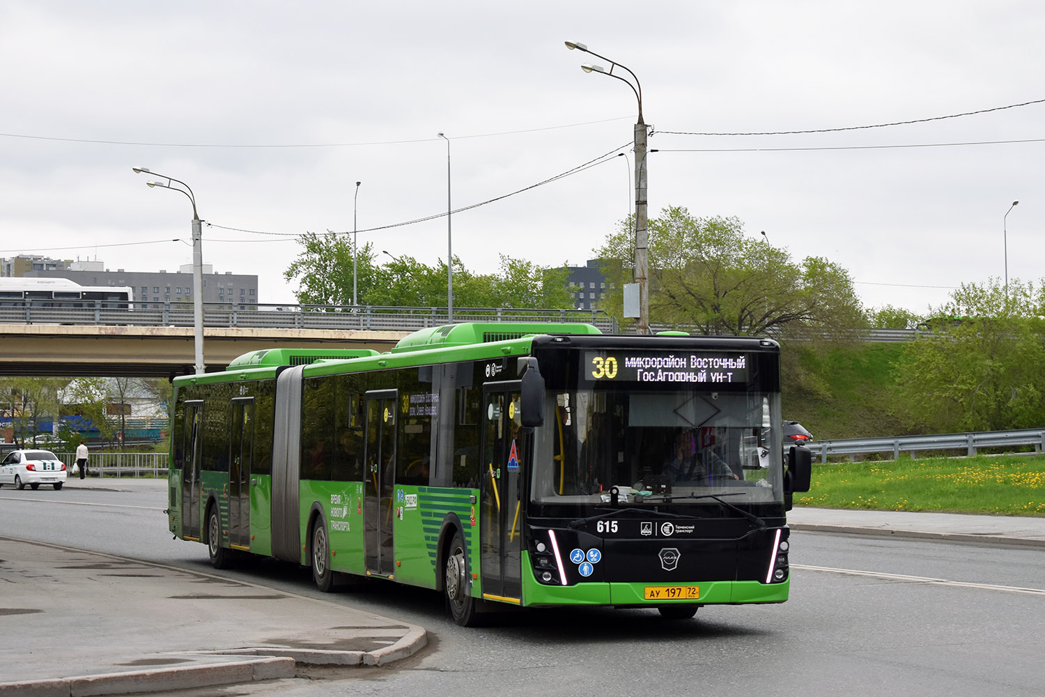 Тюменская область, ЛиАЗ-6213.65 № 615