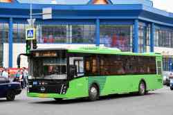 393 КБ