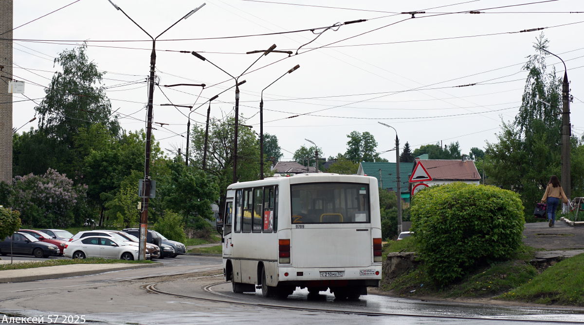 Орловская область, ПАЗ-320302-11 № С 210 МХ 57