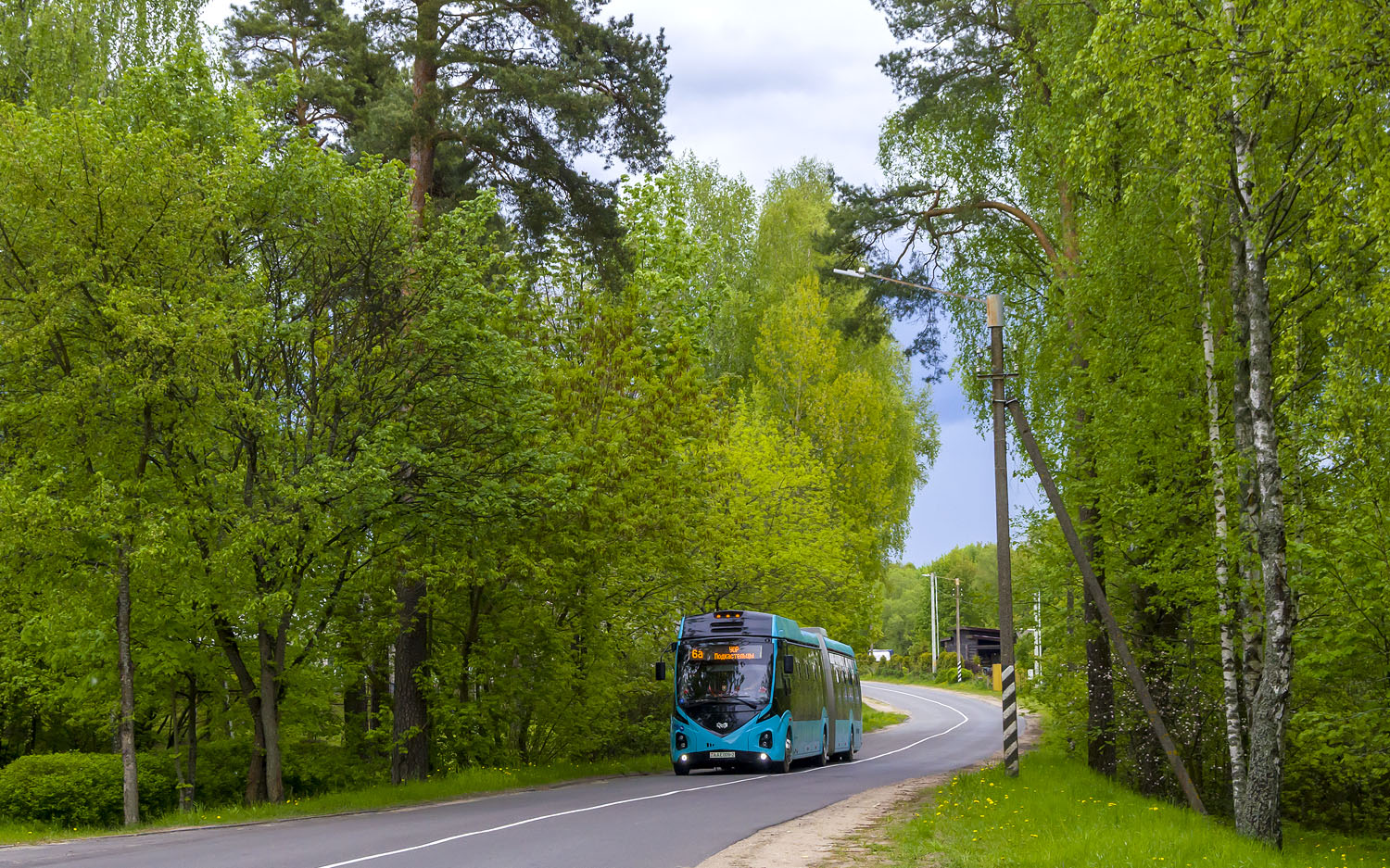 Витебская область, E433 Vitovt Max Electro II № 030058