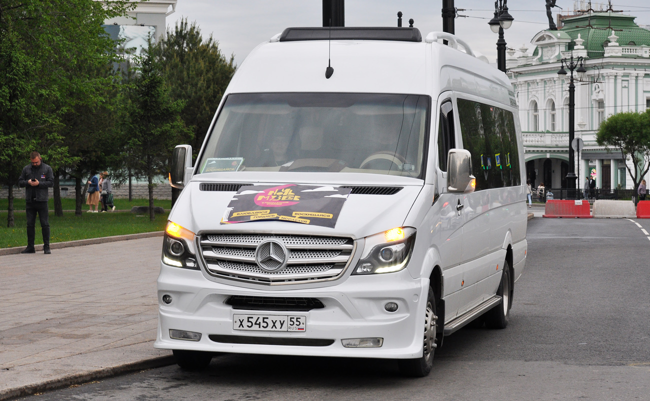 Омская область, Луидор-223690 (MB Sprinter) № Х 545 ХУ 55