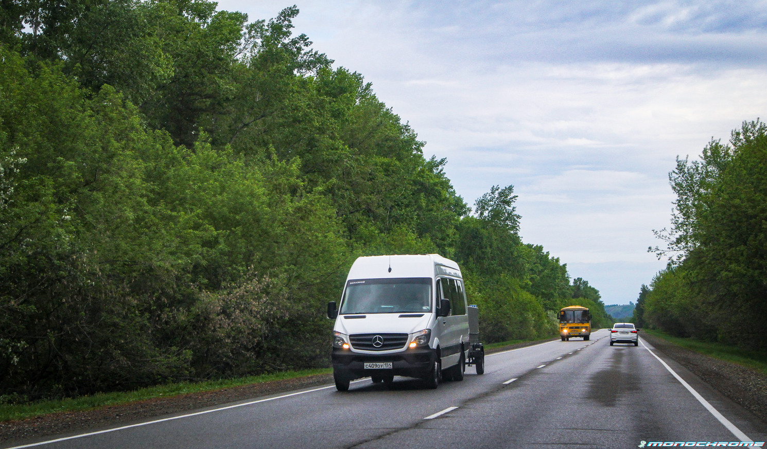 Алтайский край, Луидор-22360C (MB Sprinter) № С 409 ОУ 154