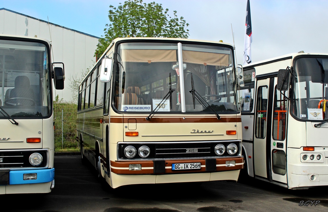 Саксония, Ikarus 256.50V № GC-IK 256H; Тюрингия — 8. Ikarus-Bus-Treffen in Deutschland — Meiningen 17.05.2025