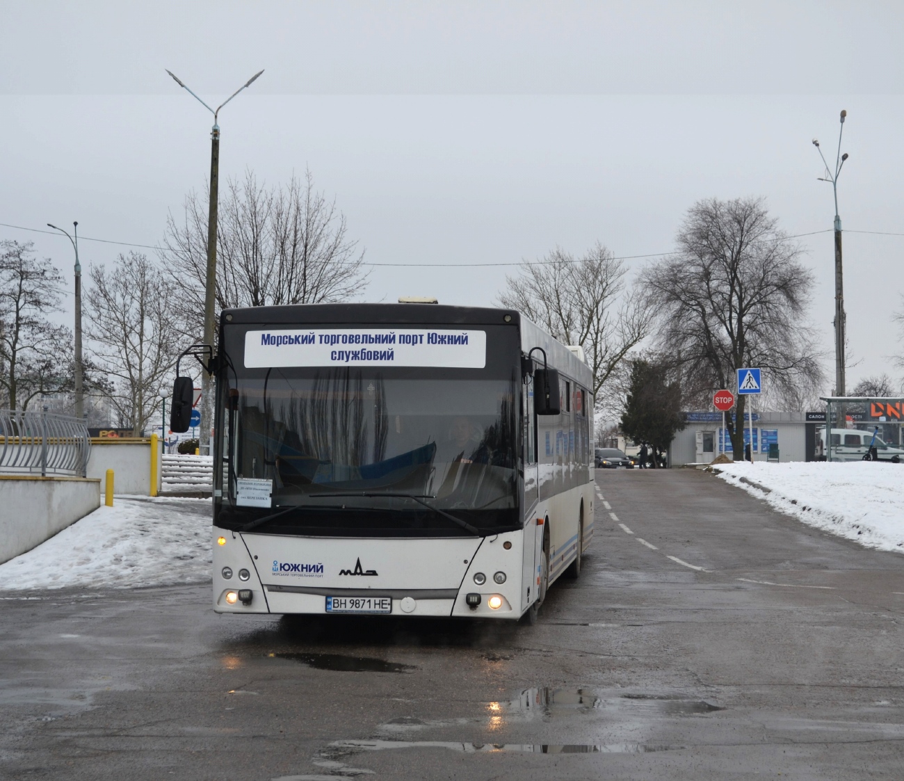 Одесская область, МАЗ-203.169 № BH 9871 HE
