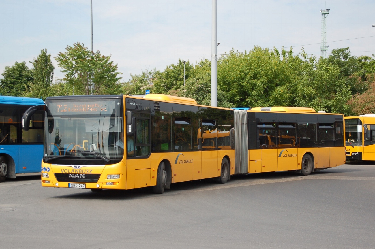 Венгрия, MAN A23 Lion's City G NG363 № SRD-247