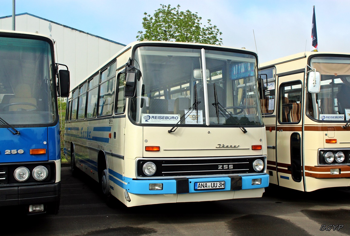 Саксония, Ikarus 255.70 № ANA-UU 3H; Тюрингия — 8. Ikarus-Bus-Treffen in Deutschland — Meiningen 17.05.2025
