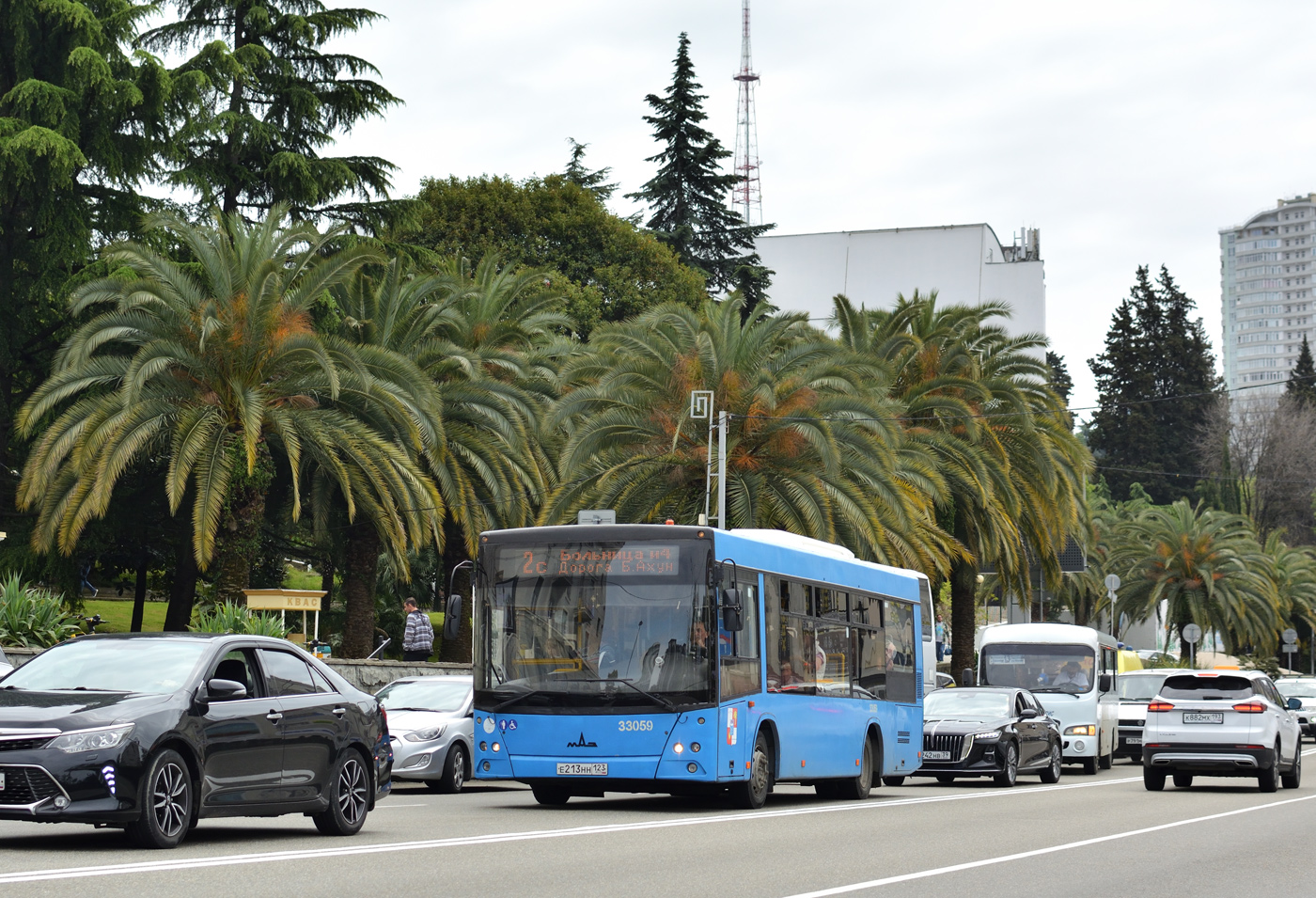 Краснодарский край, МАЗ-206.086 № 33059