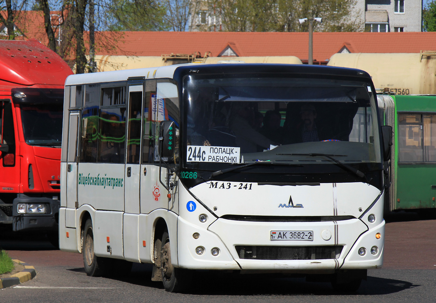 Витебская область, МАЗ-241.000 № 010286