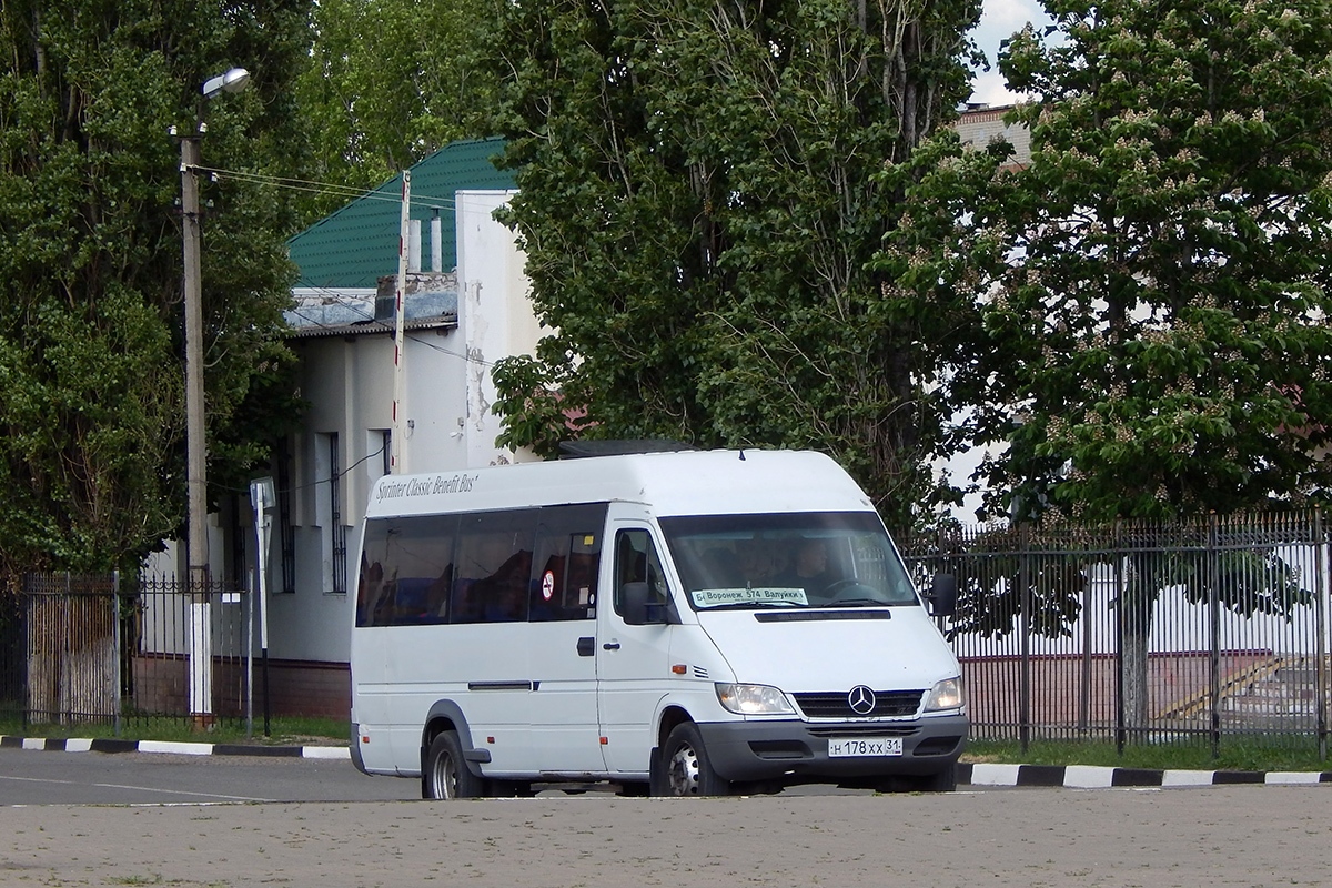 Белгородская область, Луидор-223203 (MB Sprinter Classic) № Н 178 ХХ 31 Белгородская область, Луидор-223203 (MB Sprinter Classic) № Н 178 ХХ 31