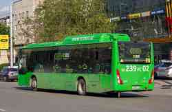 591 КБ