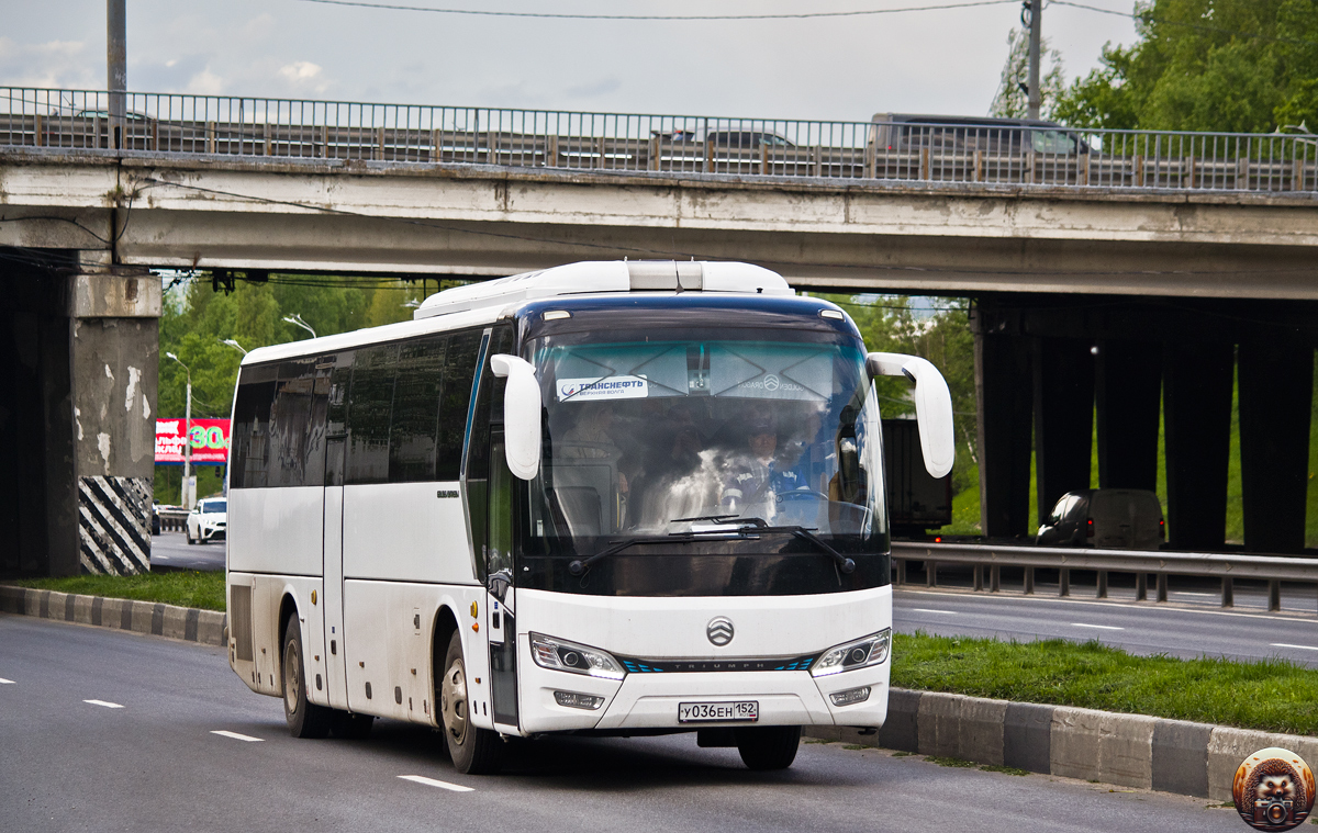 Нижегородская область, Golden Dragon XML6121J / XML6122J Triumph (все) № У 036 ЕН 152