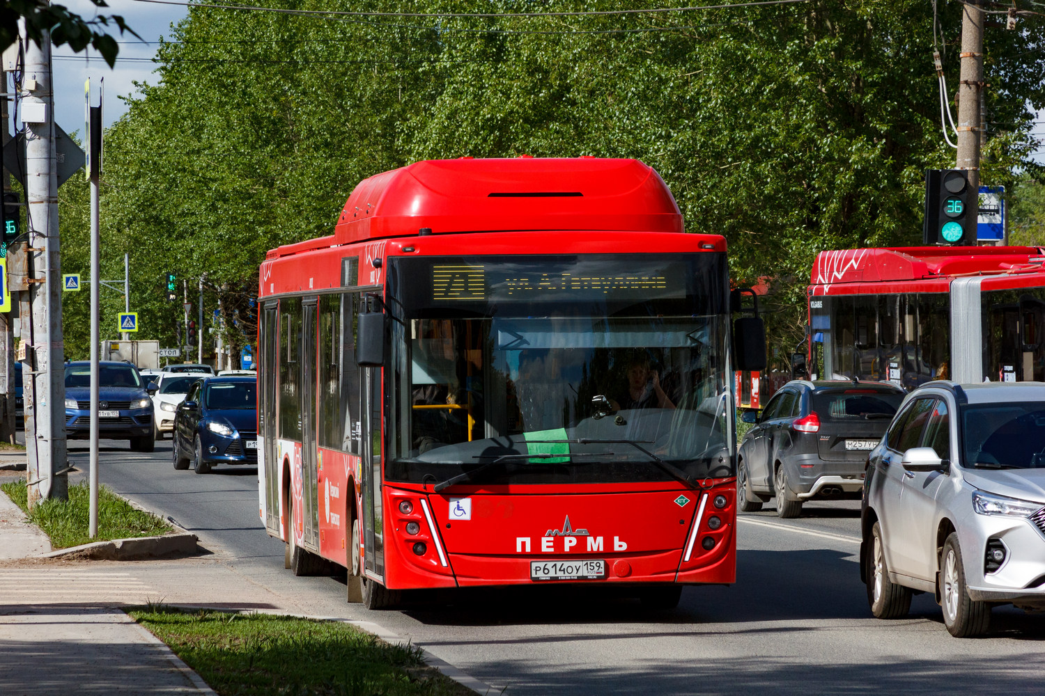 Пермский край, МАЗ-203.948 № Р 614 ОУ 159