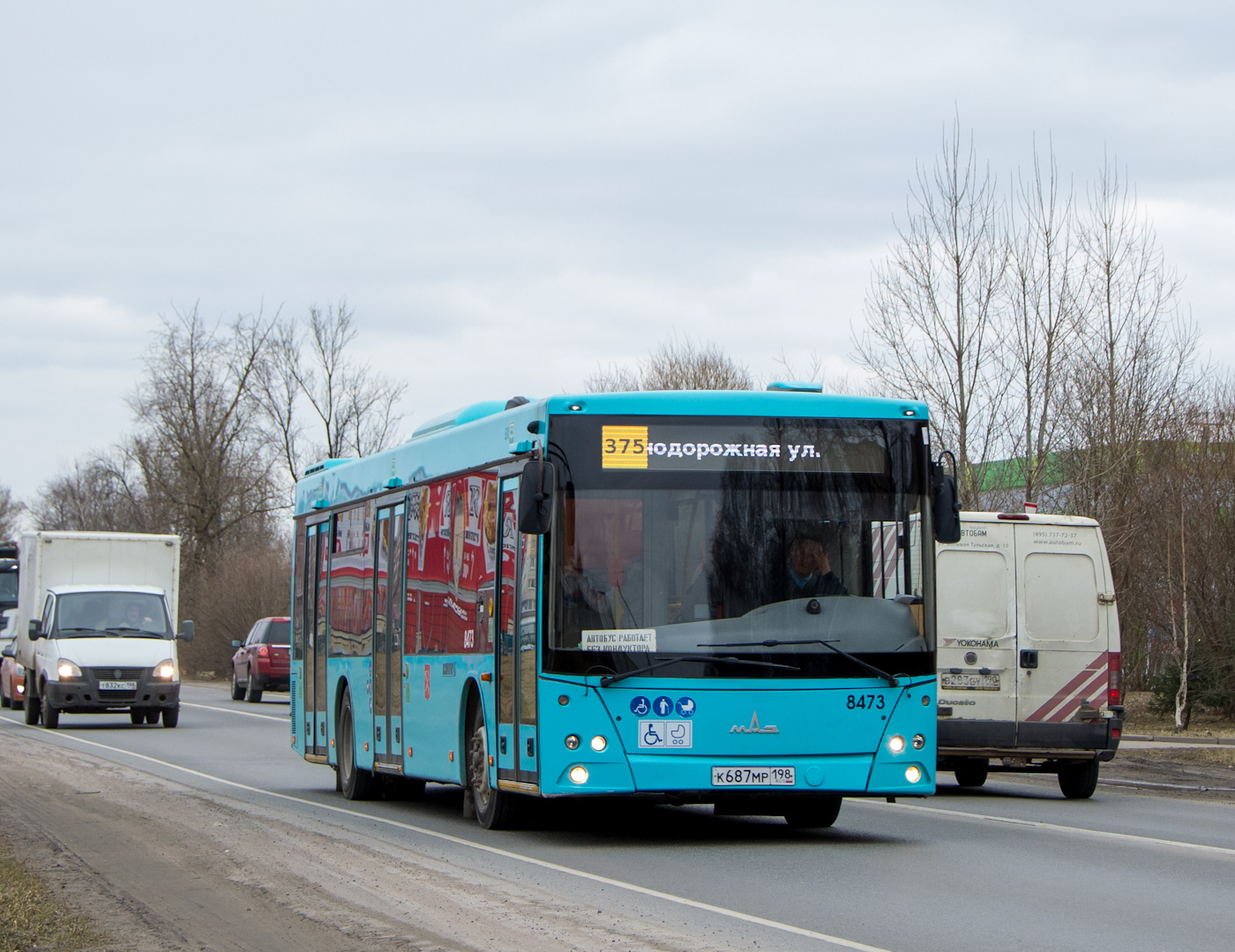 Санкт-Петербург, МАЗ-203.016 № 8473