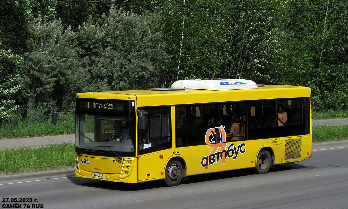 Ярославская область, МАЗ-206.047 № 22442