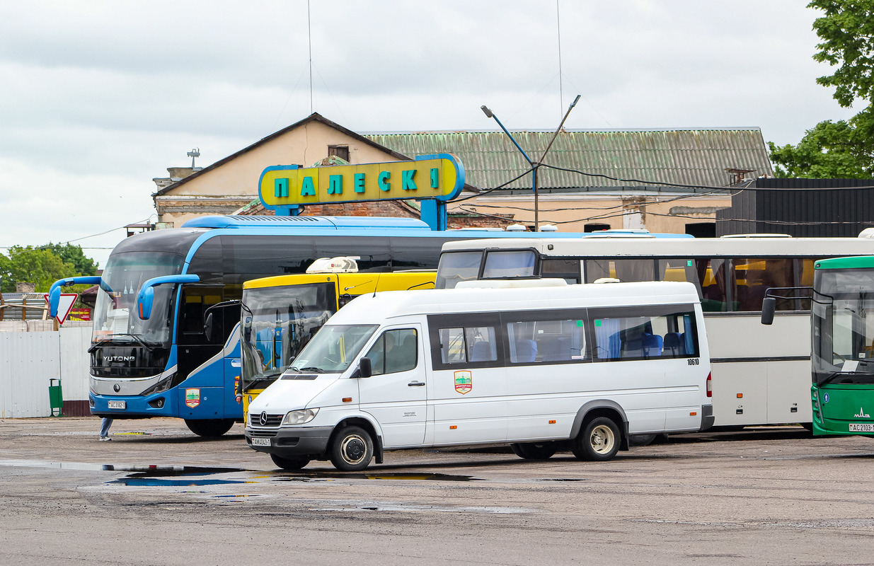 Брестская область, Луидор-223236 (MB Sprinter Classic) № 10610
