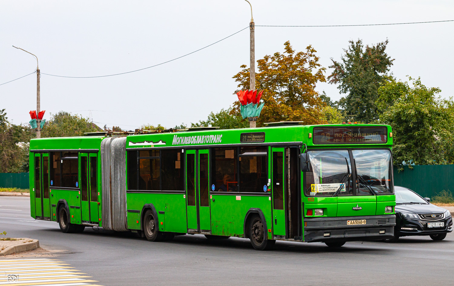 Могилёвская область, МАЗ-105.065 № 1153