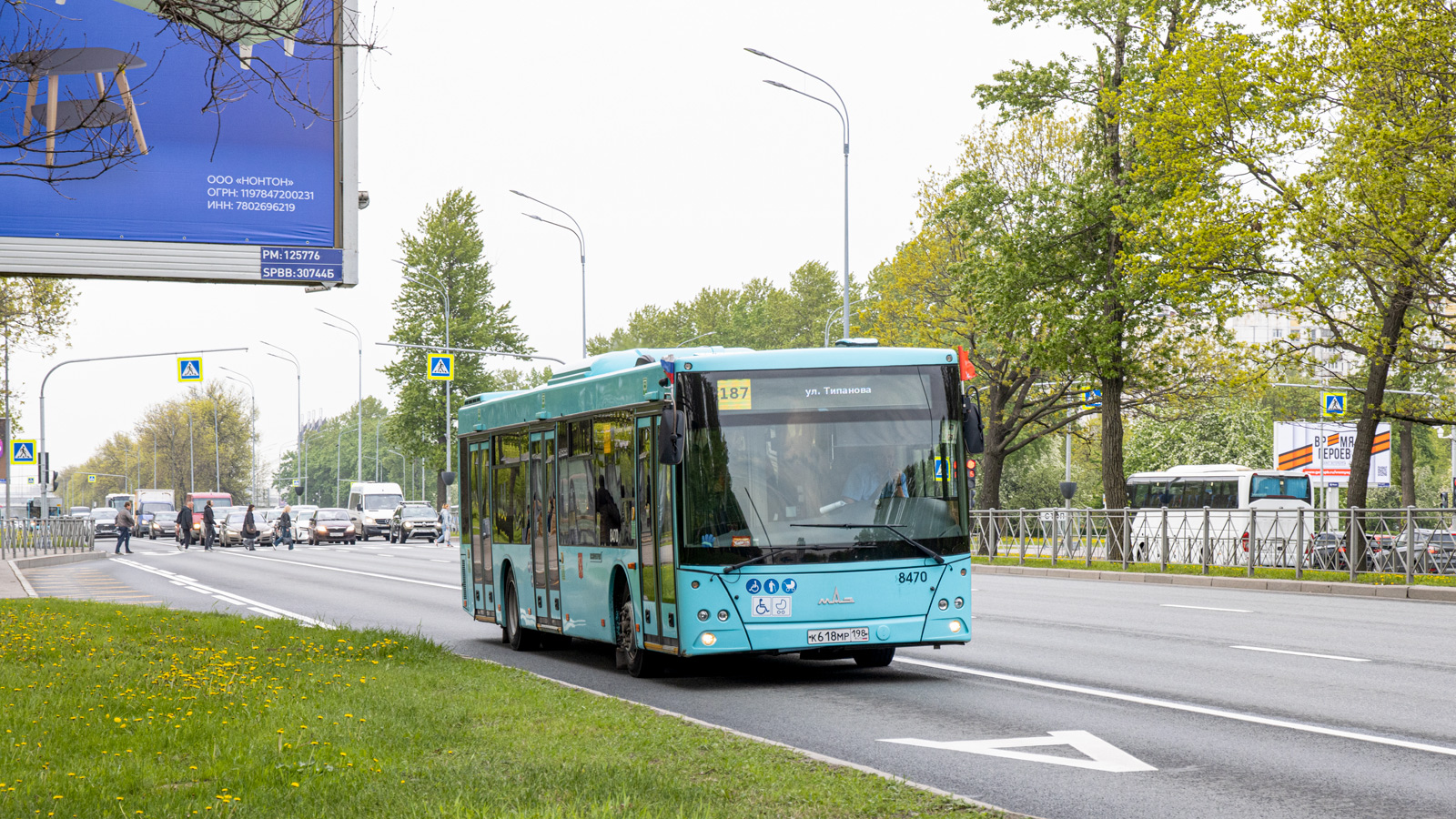 Санкт-Петербург, МАЗ-203.016 № 8470