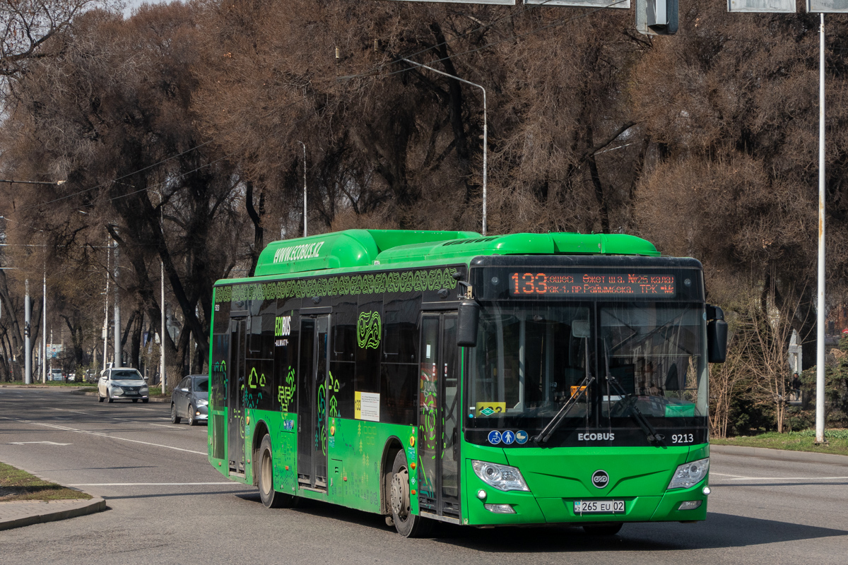 Алматы, Foton BJ6123C6CTD-A1 № 9213
