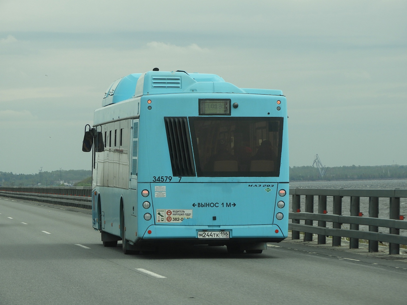 Санкт-Петербург, МАЗ-203.C46 № 34579