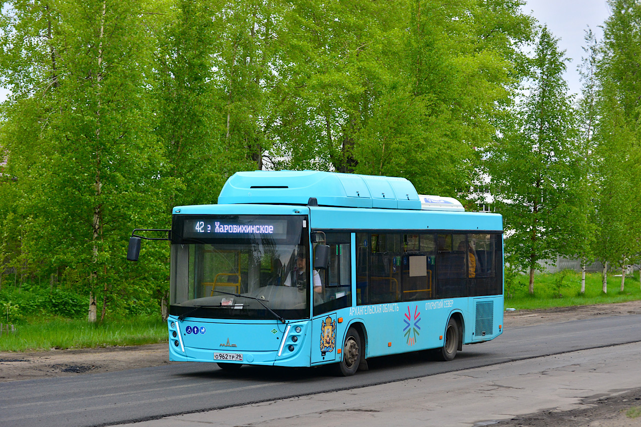 Архангельская область, МАЗ-206.948 № О 962 ТР 29
