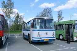 559 КБ