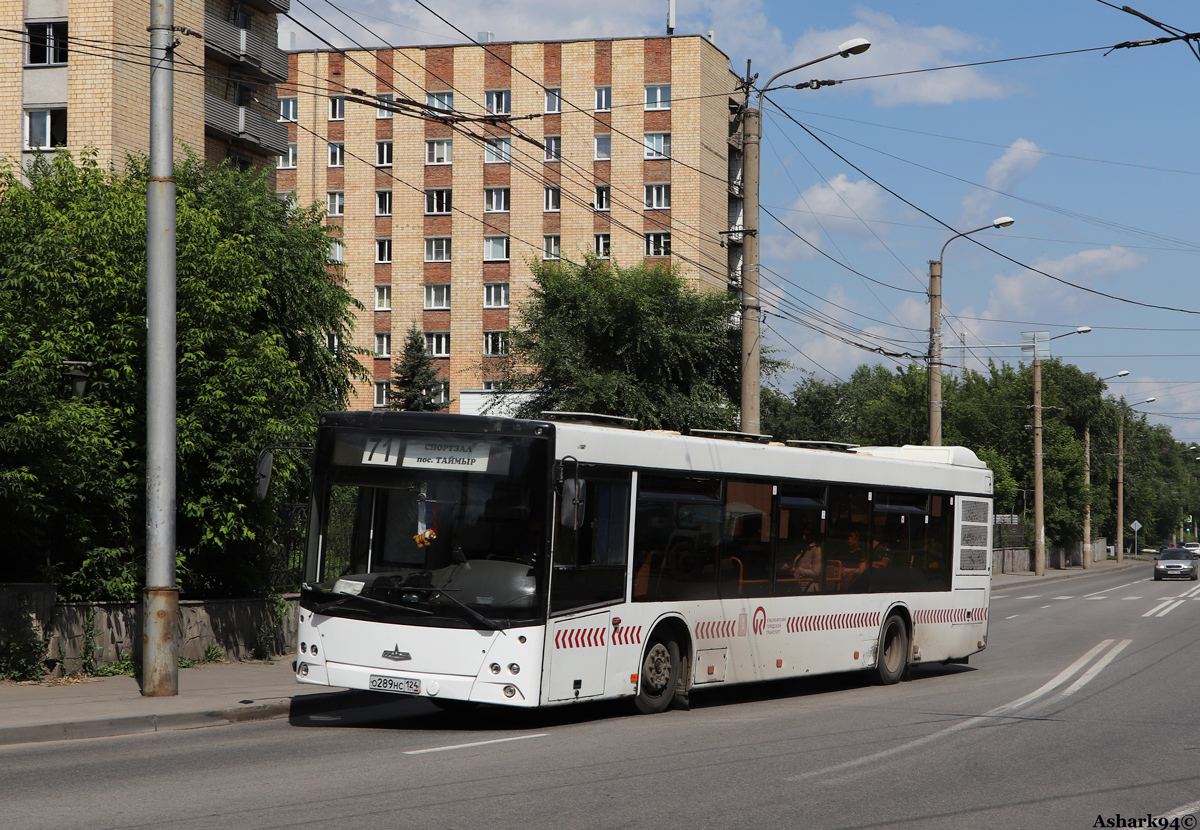 Красноярский край, МАЗ-203.067 № О 289 НС 124
