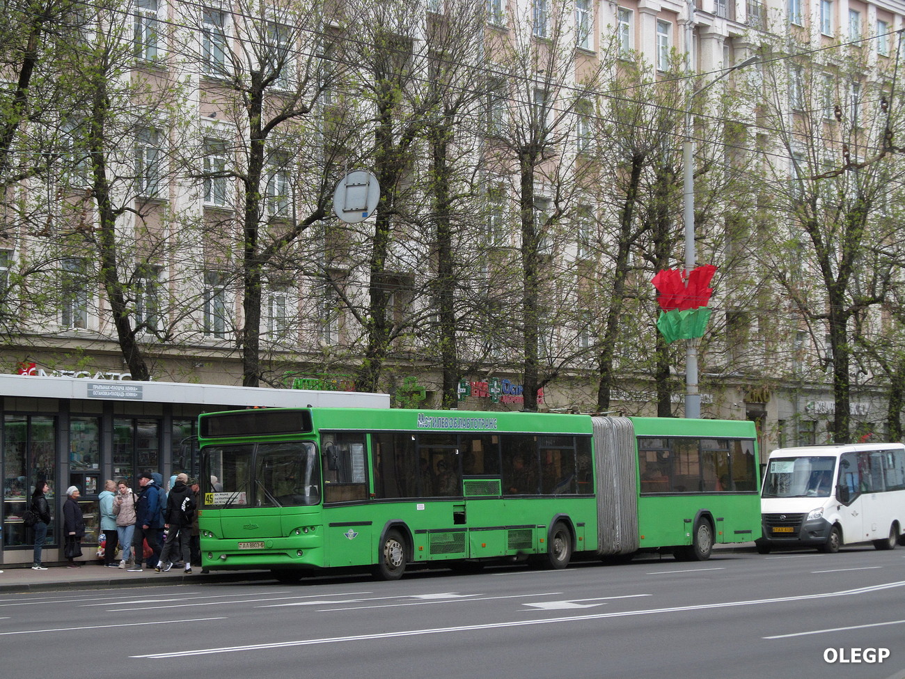 Могилёвская область, МАЗ-105.465 № 1062