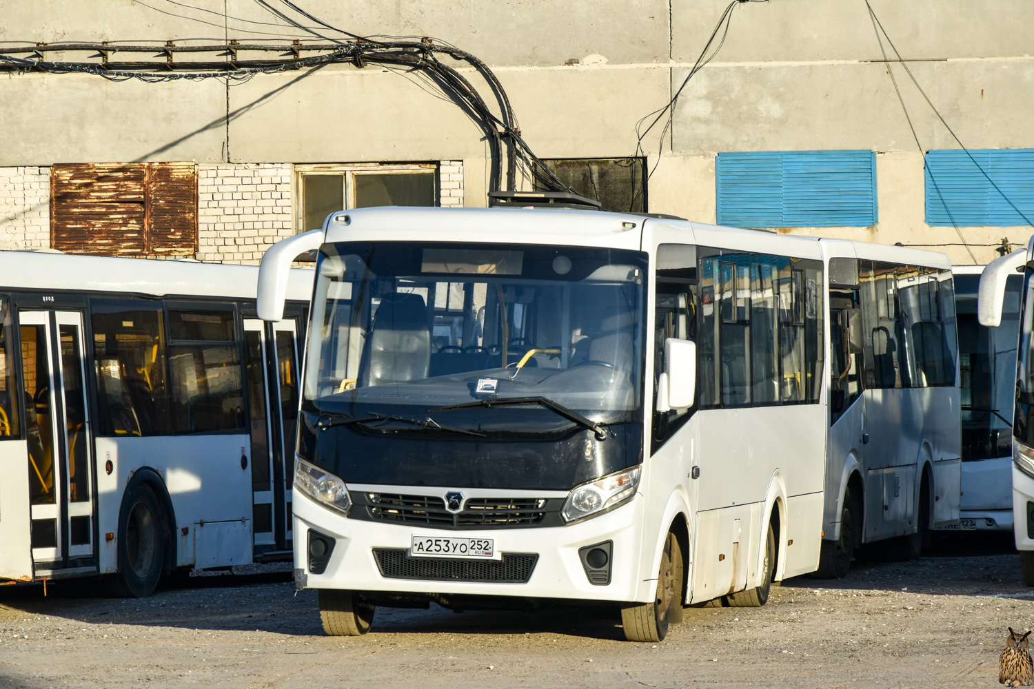 Нижегородская область, ПАЗ-320435-04 "Vector Next" № 062
