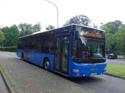 393 КБ