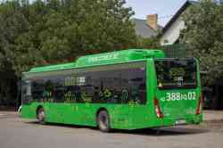 590 КБ